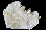Quartz Crystal Cluster - Brazil #81012-1